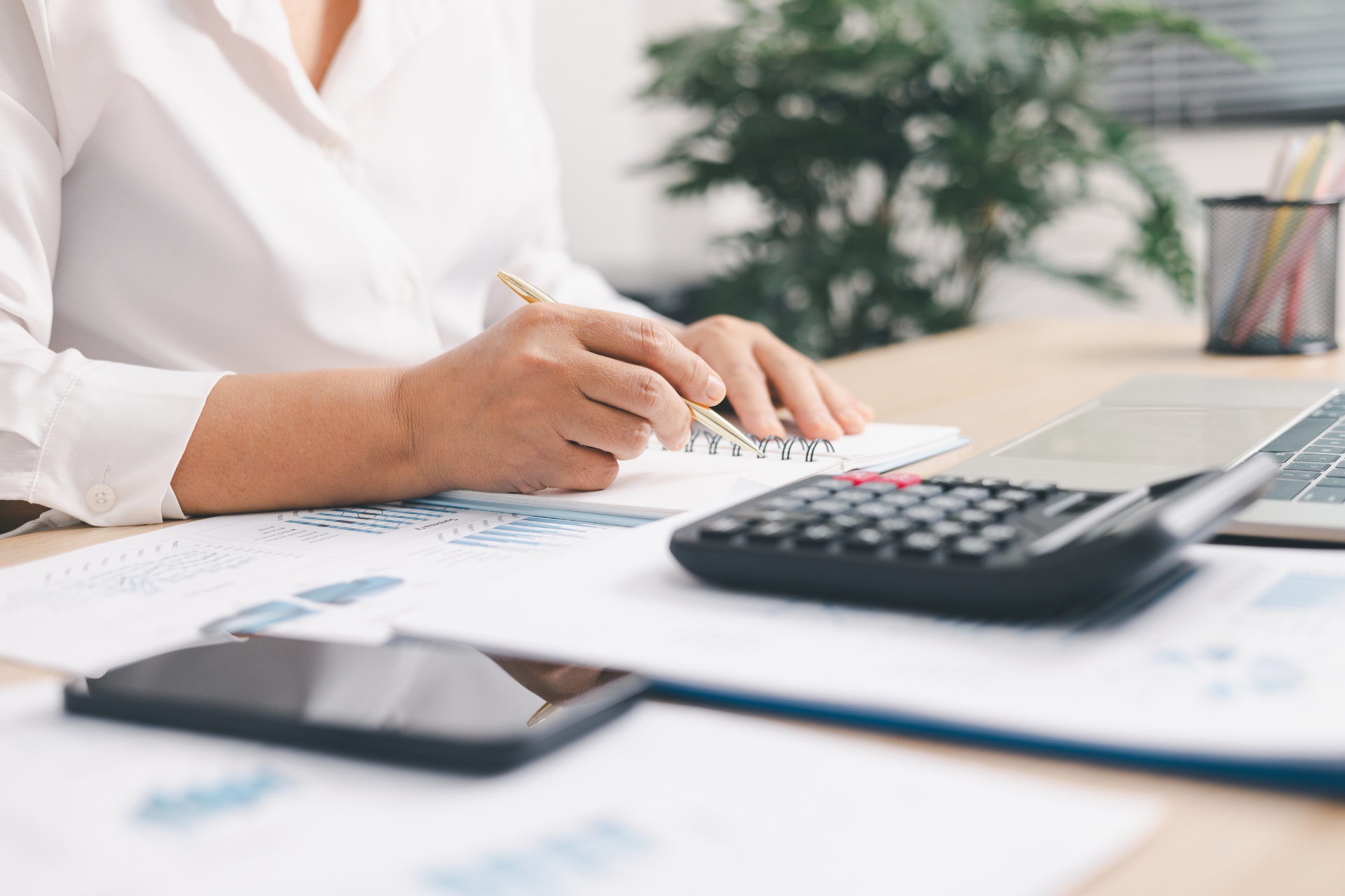 Employer of Record vs payroll provider